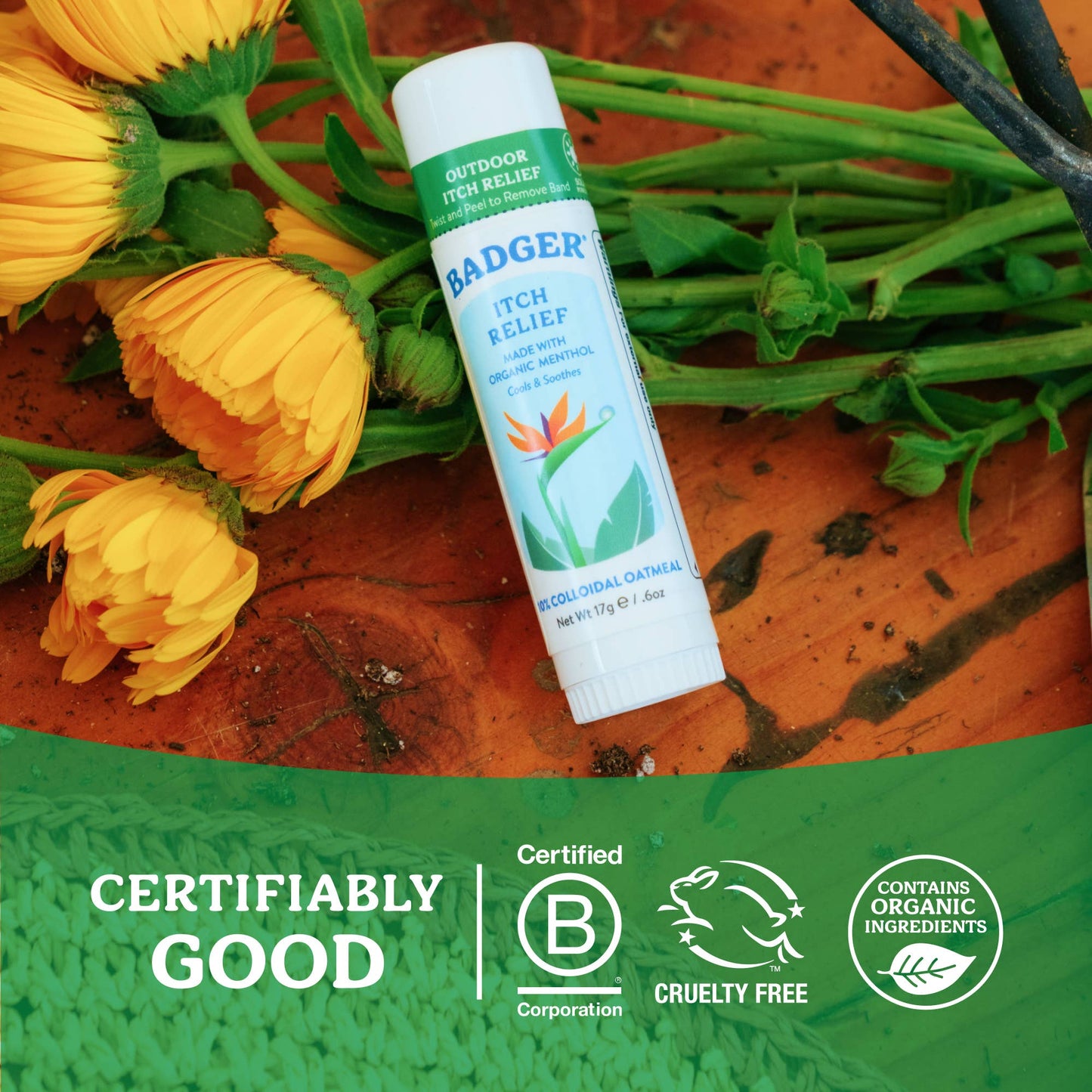 Badger Itch Relief Stick, Anti-Itch Cream for Bug Bites