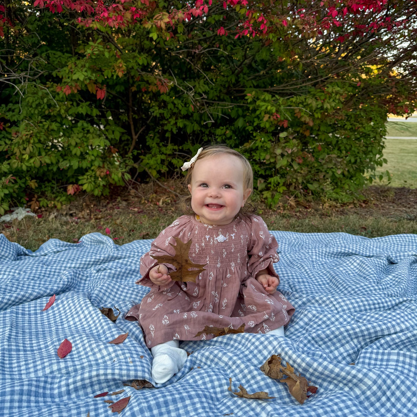 Evelina Floral Baby Dress & Bloomer Set (Organic Muslin)