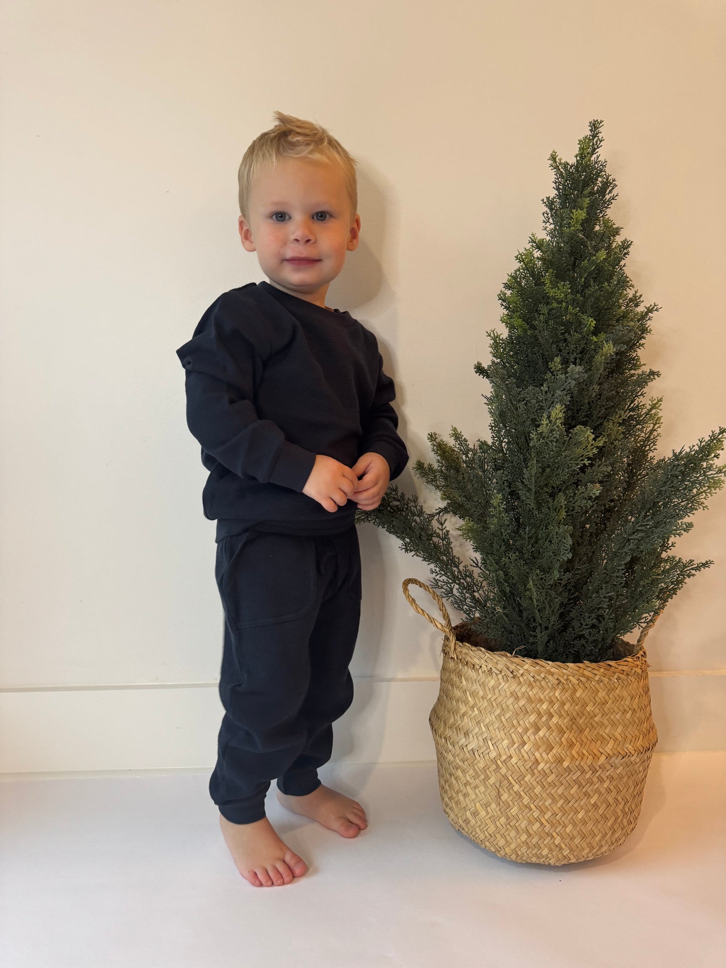 Jogger Pants | Dark Sapphire