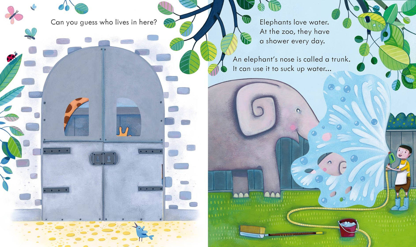 Peek Inside the Zoo : Usborne