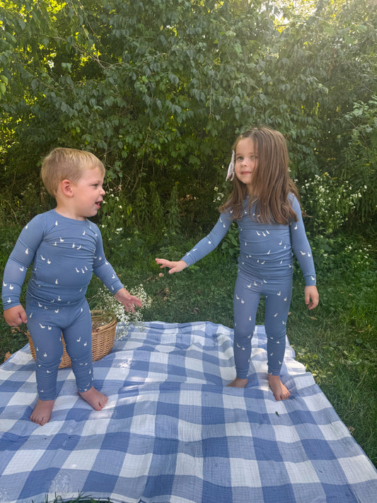 Bamboo Two Piece in Geese