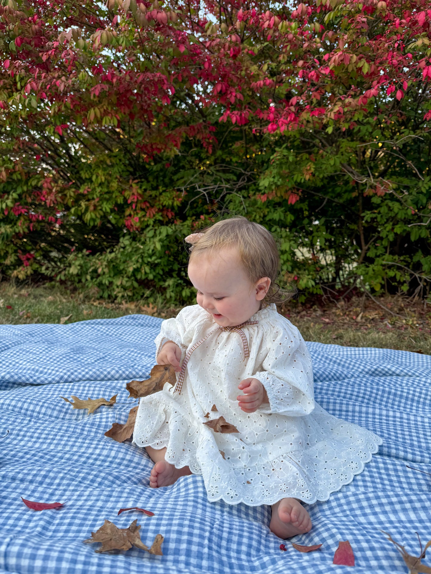 Solene Schiffli Lace Baby Dress & Bloomer (Organic Cotton)