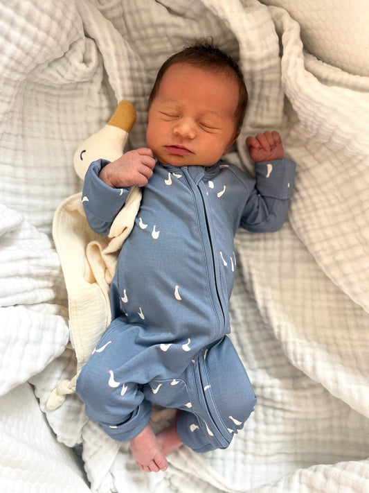 Bamboo Convertible Romper in Geese